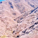 韩台村 - 北京市旅游 缩略图 2