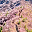 韩台村 - 北京市旅游 缩略图 1