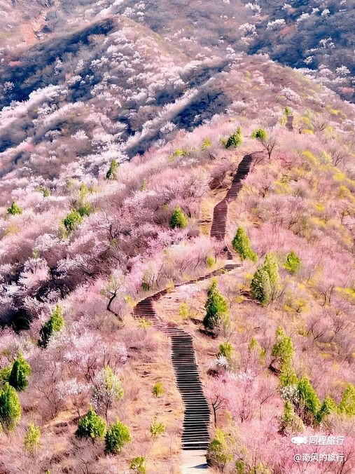 韩台村 - 北京市旅游