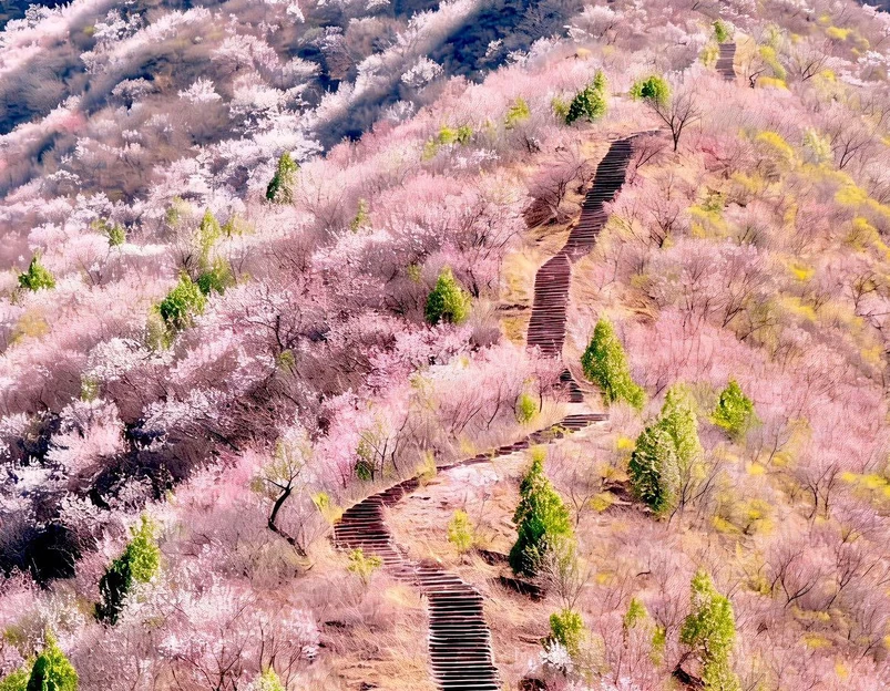 韩台村 - 北京市旅游 1