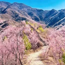 韩台村 - 北京市旅游 缩略图 4