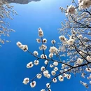 韩台村 - 北京市旅游 缩略图 9