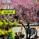郑州四叶草智能酒店(黄河路郑州人民医院地铁站店) - 郑州市旅游 缩略图 3