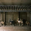 中国唐三彩文化园 - 洛阳市旅游 缩略图 4