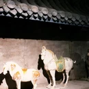中国唐三彩文化园 - 洛阳市旅游 缩略图 6