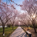 北京旅游 缩略图 7