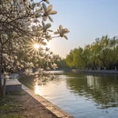 郑州旅游 缩略图 6