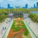 洛阳旅游 缩略图 9
