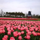 宁波旅游 缩略图 6