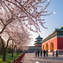 北京旅游 缩略图 5