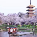 武汉旅游 缩略图 8