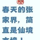 张家界旅游 缩略图 1