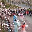 洛阳旅游 缩略图 6