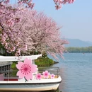 武汉旅游 缩略图 4