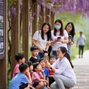 合肥旅游 缩略图 7