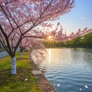 宁波旅游 缩略图 9