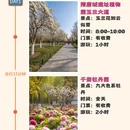 洛阳旅游 缩略图 1