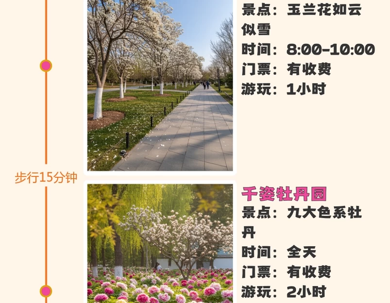 洛阳旅游 1