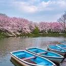 宁波旅游 缩略图 2