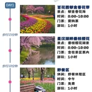西安旅游 缩略图 1