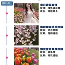 西安旅游 缩略图 2