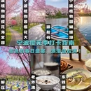 宁波旅游 缩略图 1
