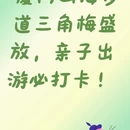 厦门旅游 缩略图 1