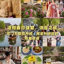 洛阳旅游 缩略图 1