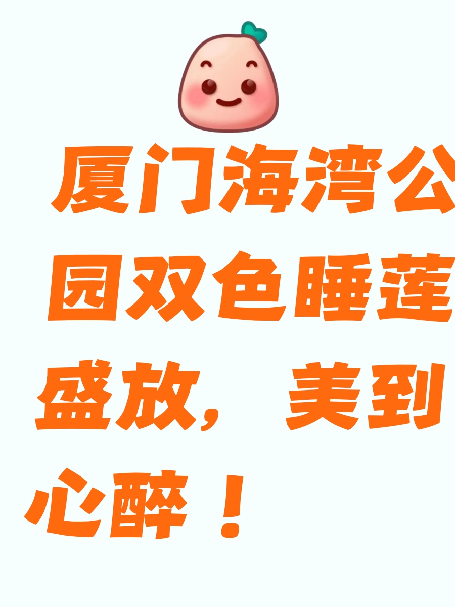 厦门旅游