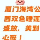 厦门旅游 缩略图 1