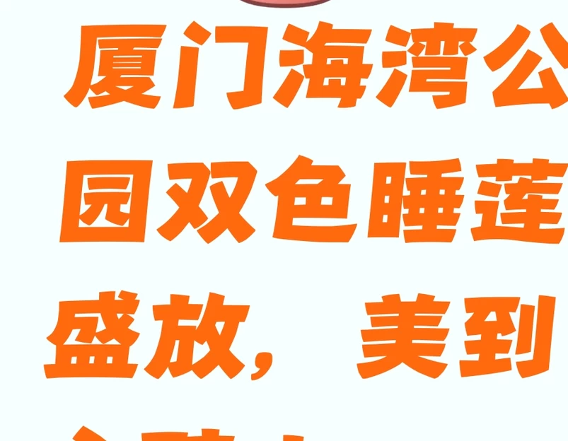 厦门旅游 1