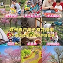 郑州旅游 缩略图 1