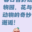 合肥旅游 缩略图 1