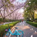 上海旅游 缩略图 9