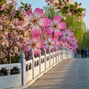 北京旅游 缩略图 9