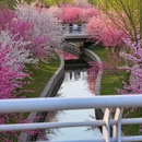 北京旅游 缩略图 4