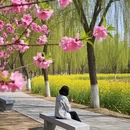 北京旅游 缩略图 2
