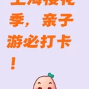 上海旅游 缩略图 1