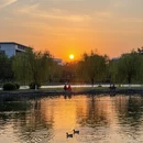 广州旅游 缩略图 8