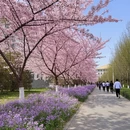 南京旅游 缩略图 5