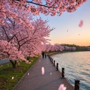 上海旅游 缩略图 8