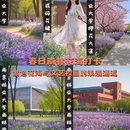 南京旅游 缩略图 1