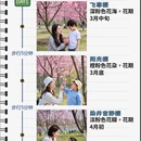 上海旅游 缩略图 1