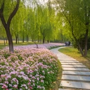 苏州旅游 缩略图 6
