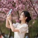 苏州旅游 缩略图 2