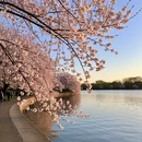 上海旅游 缩略图 6