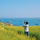 宁波旅游 缩略图 8