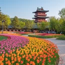 宁波旅游 缩略图 6