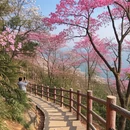 宁波旅游 缩略图 5