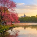 宁波旅游 缩略图 4